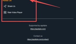 播放视频,一窥XX世界