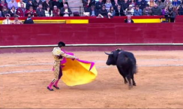 西班牙斗牛视频,揭秘西班牙斗牛场上的惊心动魄