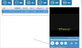 视频格式在线转换,轻松驾驭多种视频格式