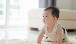 婴儿吃奶视频,宝宝吸吮奶瓶的温馨瞬间