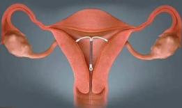 带环视频,揭秘带环视频的精彩瞬间