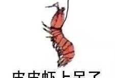 皮皮虾视频,趣味横生，轻松一刻