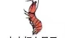 皮皮虾视频,趣味横生，轻松一刻