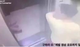 交性视频,揭秘互动娱乐新趋势