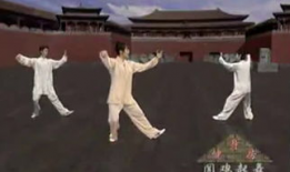 太极视频,视频中的动静相生与阴阳平衡