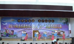 读唐诗舞蹈视频,穿越时空的古典风情演绎