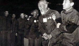 毛泽东视频,革命领袖的传奇一生