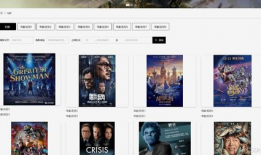 视频在线观看网站,在线观影新体验一览