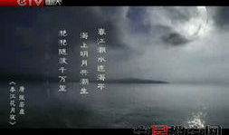 月夜视频,探寻神秘月色下的奇幻世界