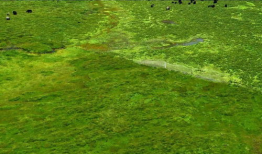 青草草在线视频,带你领略青春活力与动感魅力