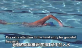 自由泳视频教程,轻松掌握泳姿技巧与训练方法