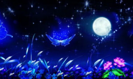 月色视频,探索月色视频的魅力