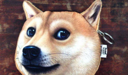 狗头视频,萌态百出，笑点连连