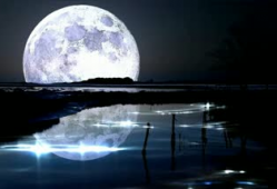 月色视频,探索月色视频的魅力