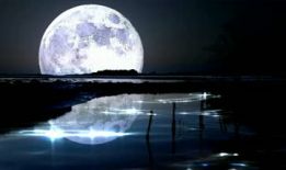 月色视频,探索月色视频的魅力