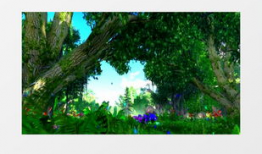 森林视频,探秘大自然的绿色王国