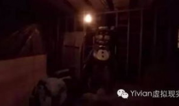 最恐怖的视频,揭秘史上最恐怖视频的恐怖真相