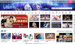 bilibili视频,探索内容背后的精彩故事