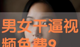 干b免费视频,解锁无限娱乐新体验