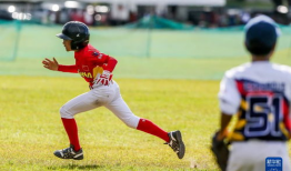 棒球少年,梦想与奋斗的青春交响曲