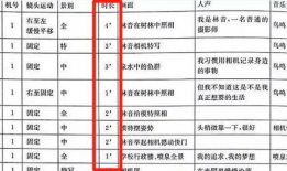 视频脚本模板,跟随模板打造引人入胜的视觉盛宴