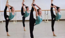 体操舞蹈视频,展现青春风采